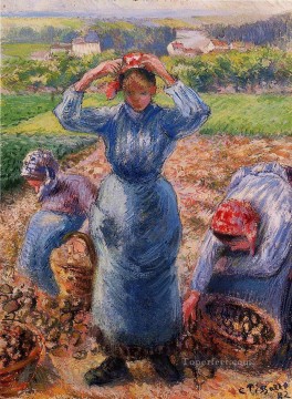  1882 Art Painting - peasants harvesting potatoes 1882 Camille Pissarro
